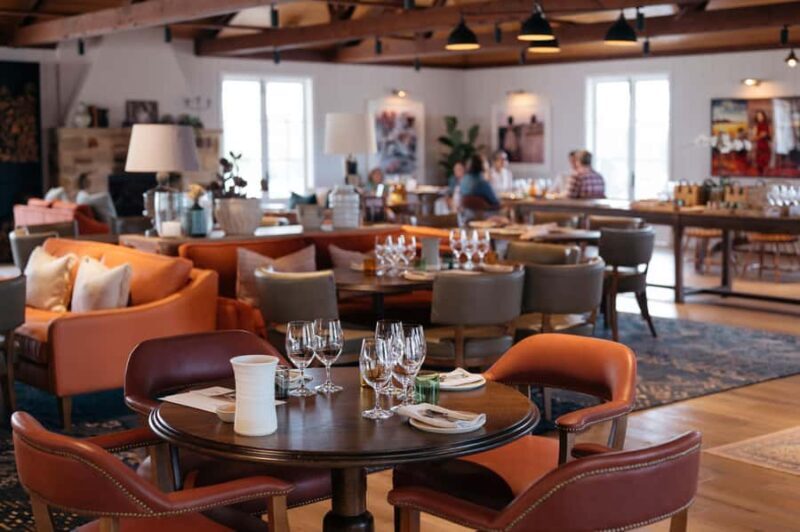 Pokolbin: The Mother Vine Experience | Tour and Wine Tasting - An In-Depth Look at the Mother Vine Experience