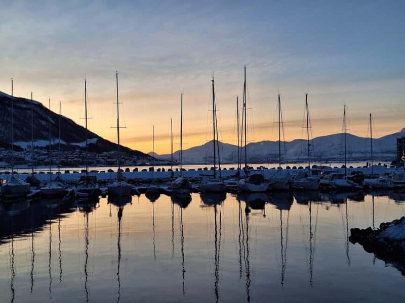 POLARIA AND FAMILY FRIENDLY CITY WALK - The Polaria Visit: Arctic Wildlife and Interactive Exhibits