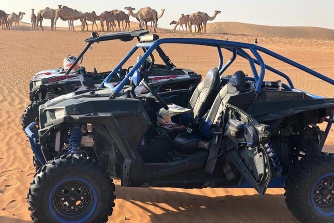 Polaris RZR 1000cc 2seater Desert Adventure Guided Tour - In-Depth Breakdown of the Itinerary
