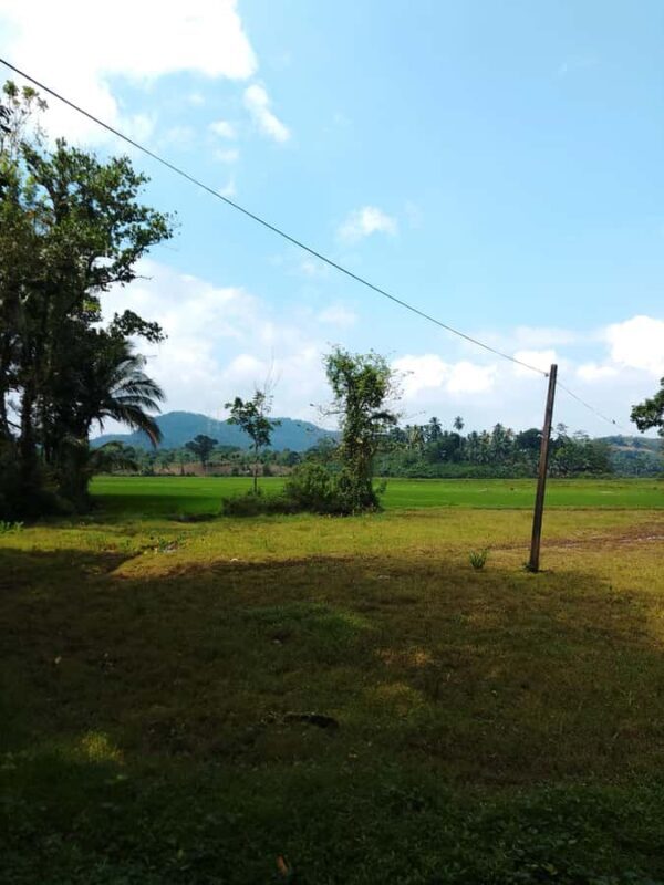 Polgampola Waterfall Tour by Tuk Tuks From Bentota area - Key Points