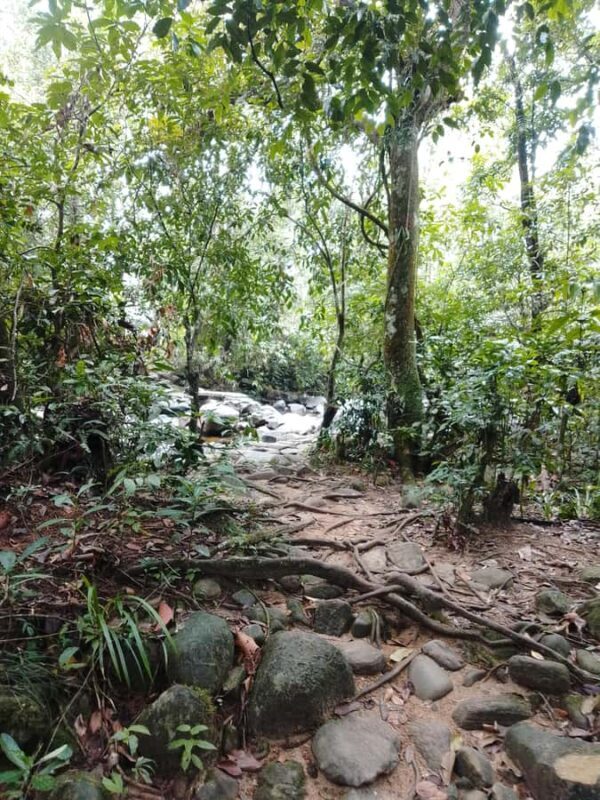 Polgampola Waterfall Tour by Tuk Tuks From Bentota area - The Sum Up