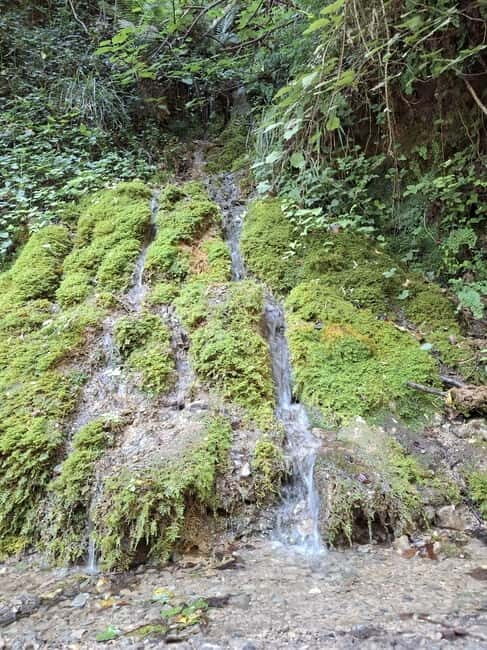 Pollino National Park: Trekking in the Argentino Nature Reserve - Exploring the Pollino National Park: Trekking in the Argentino Nature Reserve