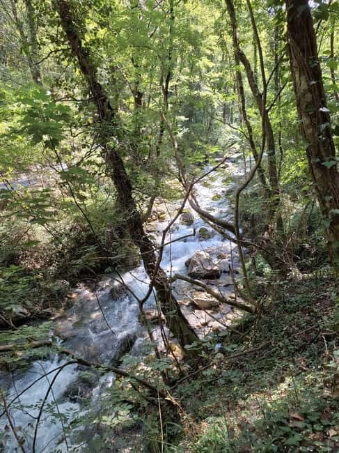 Pollino National Park: Trekking in the Argentino Nature Reserve - Key Points