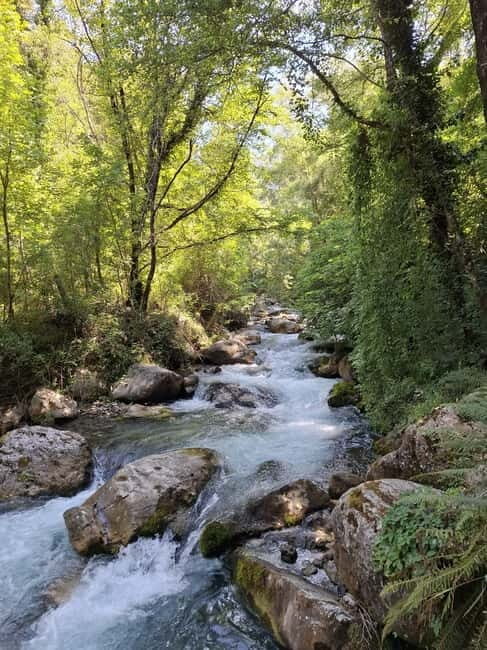 Pollino National Park: Trekking in the Argentino Nature Reserve - Summary: Who Will Love This Tour?