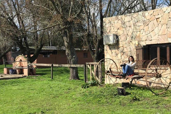 polo-day-in-pilar-buenos-aires