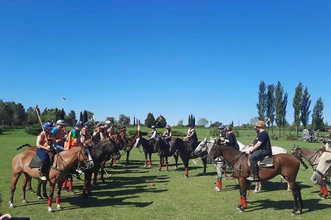 polo-day-with-argentine-asado-day-tour-from-buenos-aires