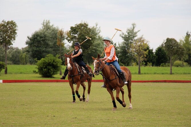 polo-day-with-argentine-asado-day-tour-from-buenos-aires