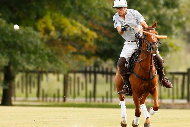 polo-lessons-from-buenos-aires-by-polo-elite