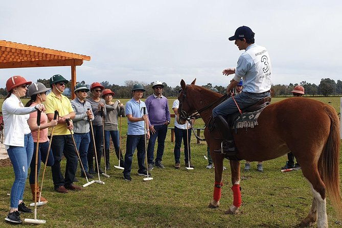 polo-lessons-from-buenos-aires-by-polo-elite