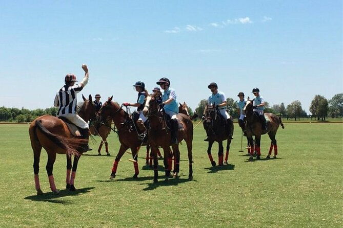 polo-match-bbq-and-lesson-day-trip-from-buenos-aires