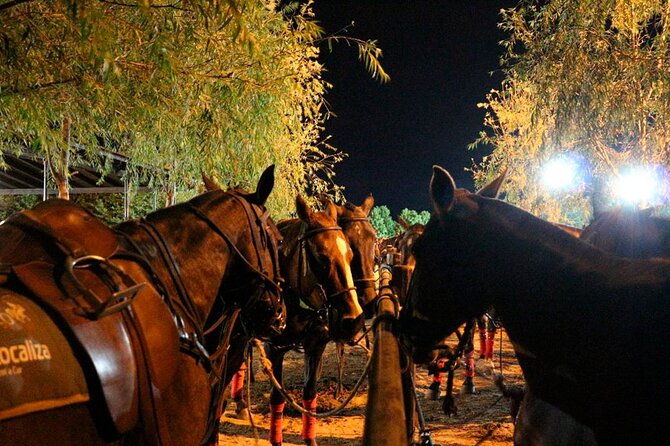 polo-night-experience-with-argentine-asado-in-buenos-aires