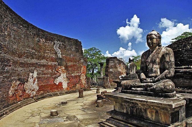Polonnaruwa Ancient City And Habarana Day Tour From Sigiriya - Authentic Experiences and Practical Insights