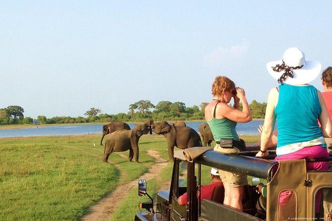 Polonnaruwa Ancient City and Wildlife Safari from Colombo - An In-Depth Look at the Tour Experience