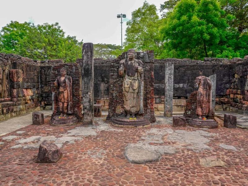 Polonnaruwa Ancient City & Minneriya Safari Combo Tour - The Value of a Private Experience