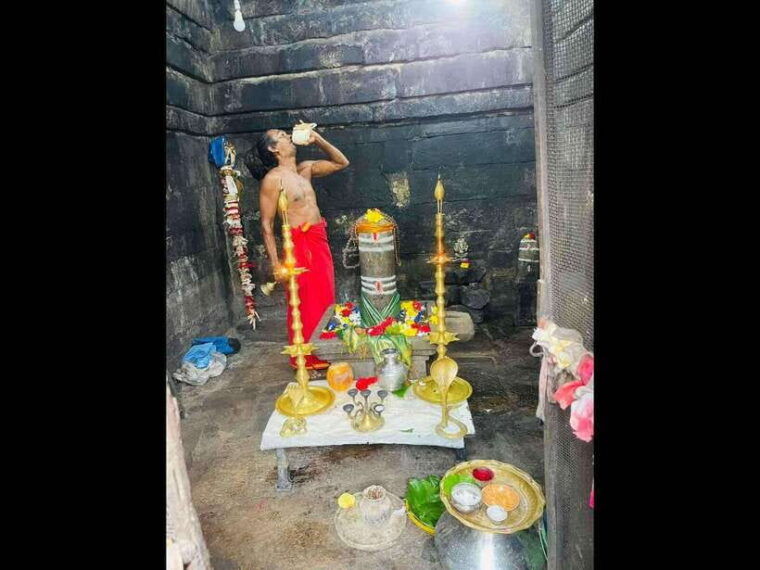 polonnaruwa-ancient-city-private-day-tour-hidden-gems