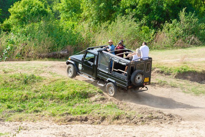 Polonnaruwa Ancient Kingdom and Wild Elephant Safari from Kandy - FAQs