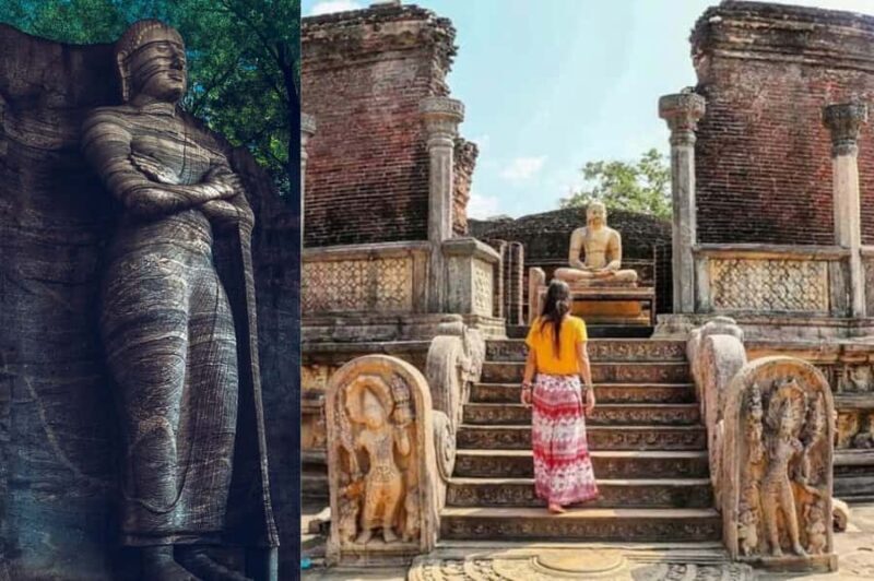 Polonnaruwa Cycling: Paddy-Field Lunch with Eco Park Safari - The Day in Detail: What You Can Expect