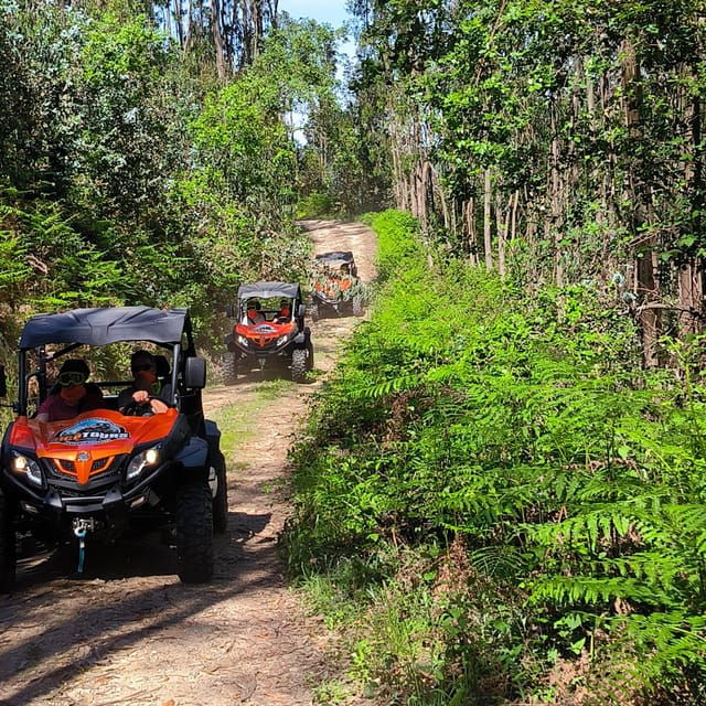 pombal-sico-60-minutes-off-road-buggy-ride
