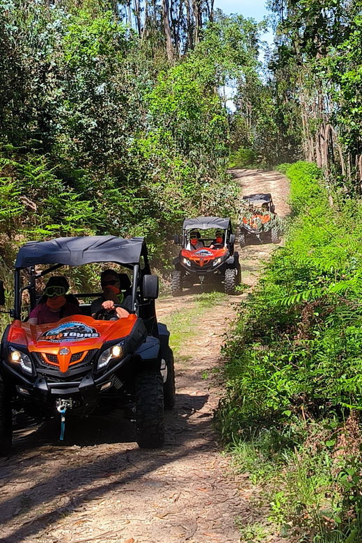 pombal-sico-60-minutes-off-road-buggy-ride