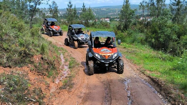 pombal-sico-60-minutes-off-road-buggy-ride