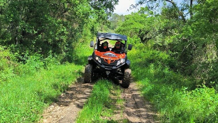 pombal-sico-60-minutes-off-road-buggy-ride