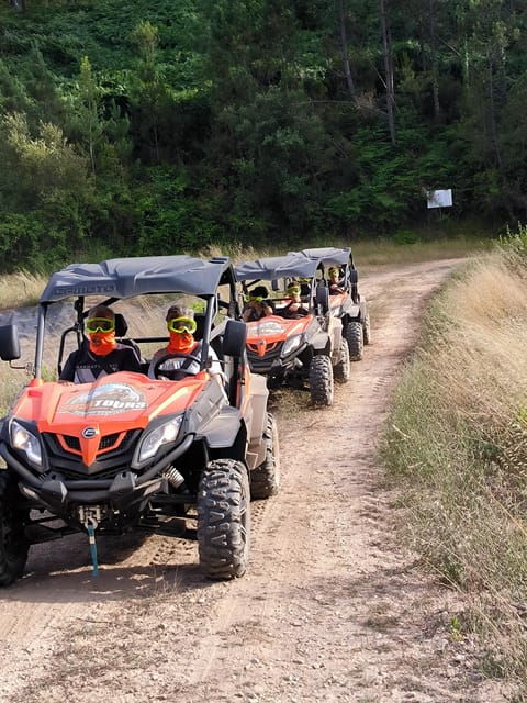 pombal-sico-60-minutes-off-road-buggy-ride