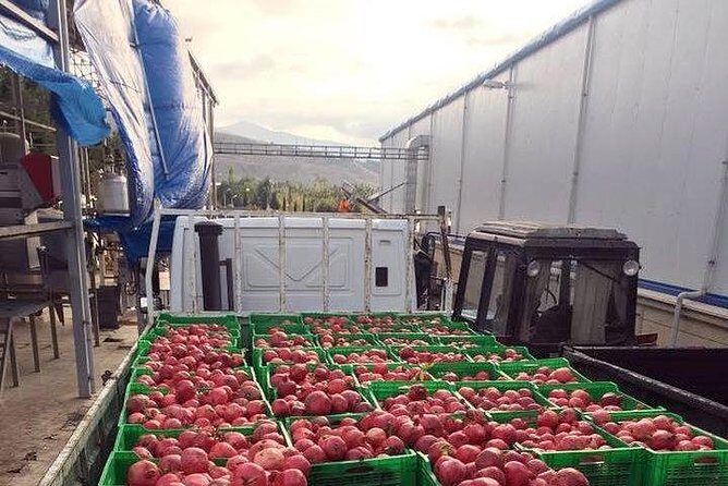 Pomegranate Wine Tour with Local Lunch - FAQ