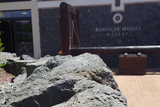 pompei-archeological-site-and-wine-tasting-experience