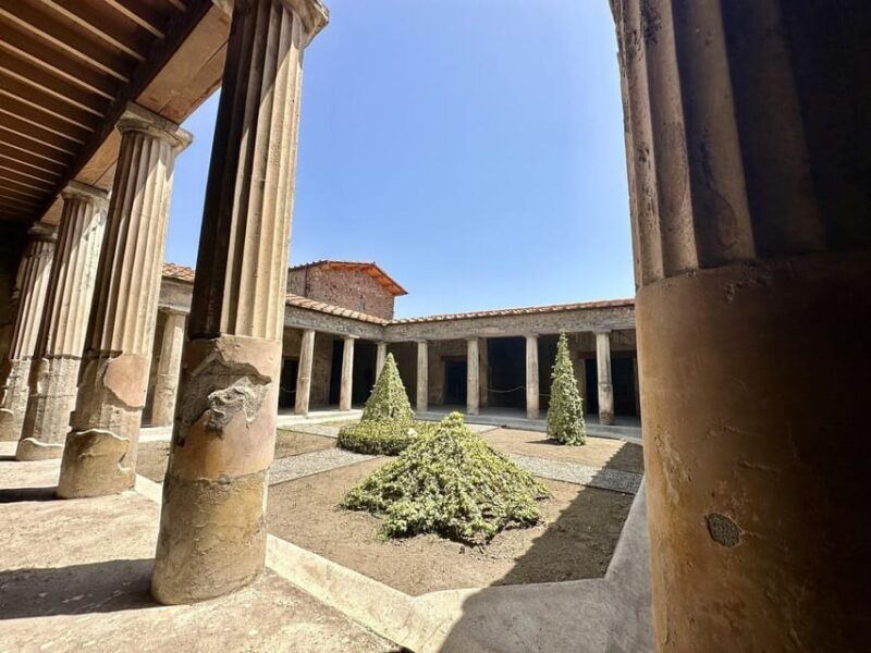 pompei-the-latest-discoveries-with-your-archaeologist