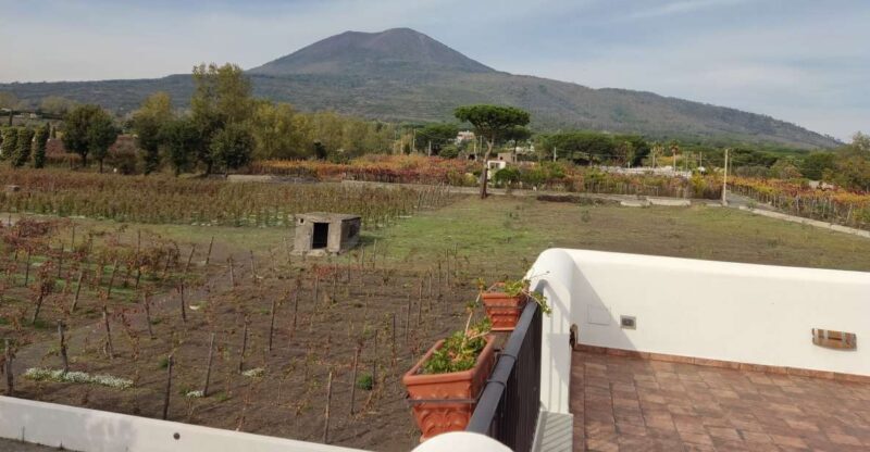 pompei tour - Key Points
