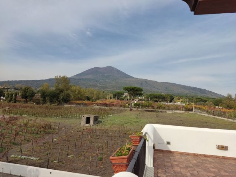 pompei tour - What Makes This Tour Stand Out