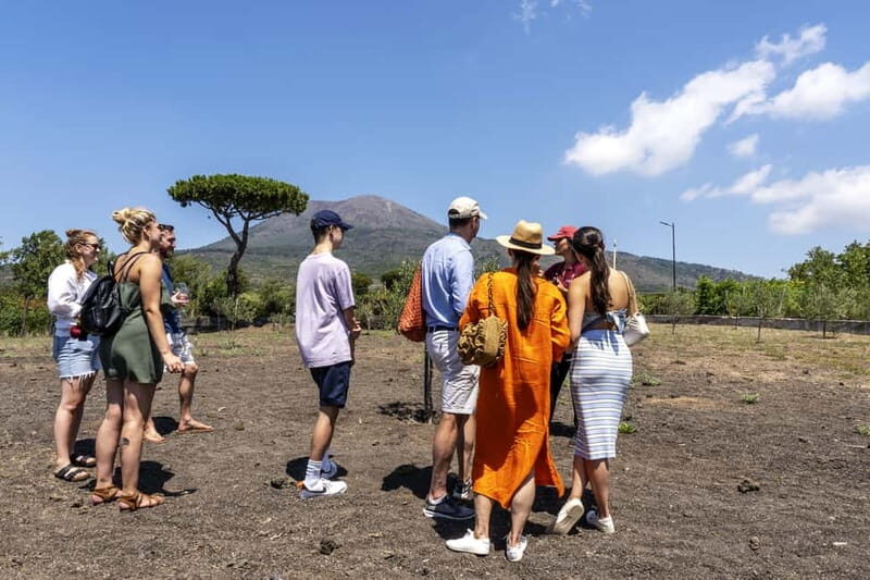 Pompei: Vesuvius Vineyards Tour with Wine Tasting and Lunch - Final Thoughts
