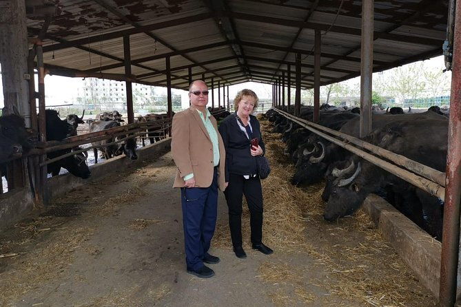 pompeii-and-herculaneum-skip-the-line-with-lunchwinetasting-from-rome