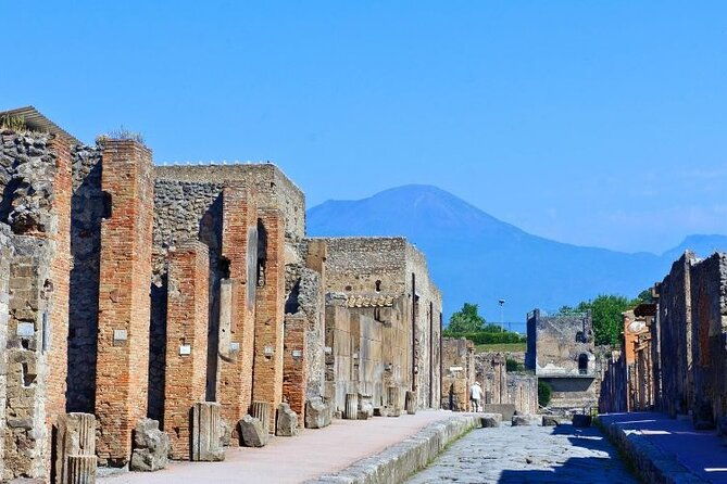 pompeii-and-herculaneum-tour-with-lunch-from-sorrento
