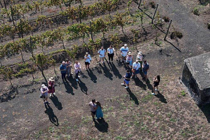 pompeii-and-naples-from-rome-private-full-day-tour-with-lunch