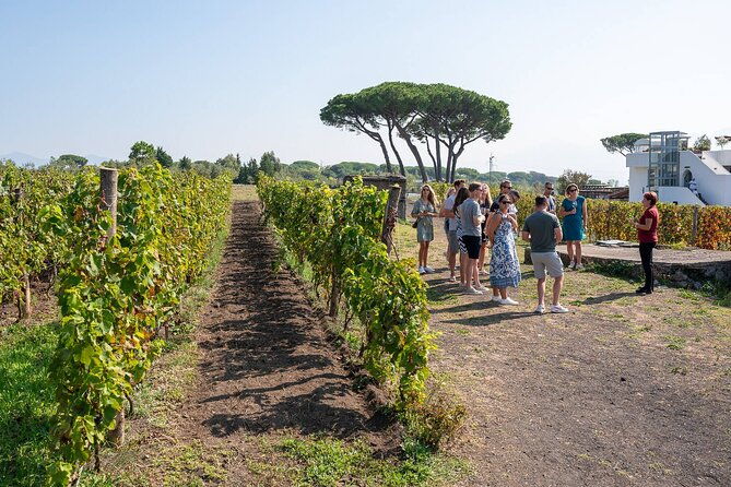 pompeii-and-naples-from-rome-private-full-day-tour-with-lunch