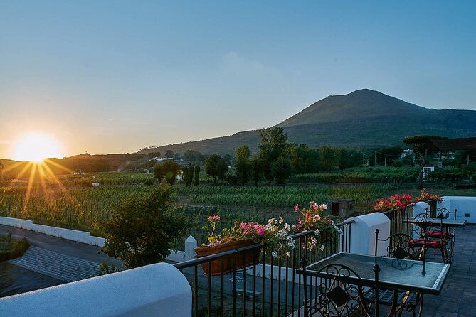 pompeii-and-naples-from-rome-semi-private-day-tour-with-lunch