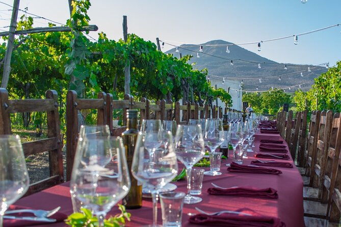 pompeii-and-vesuvius-cellars-tour-with-lunch-from-naples