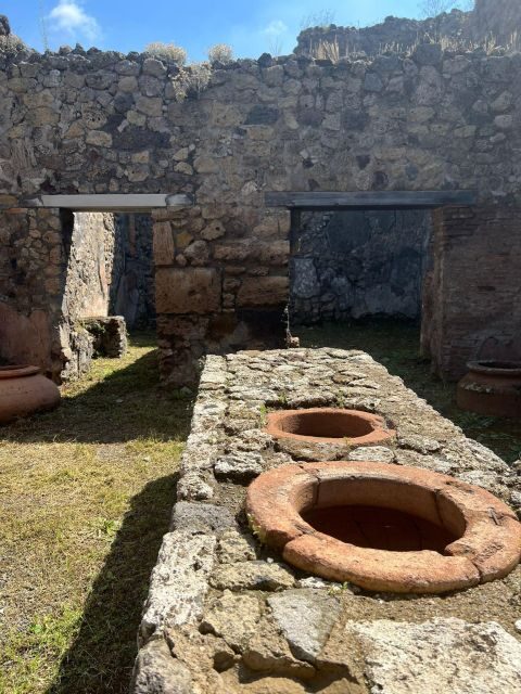 Pompeii and Vesuvius Cellars: Tour with Pick-Up in Positano - Authentic Insights from Travelers
