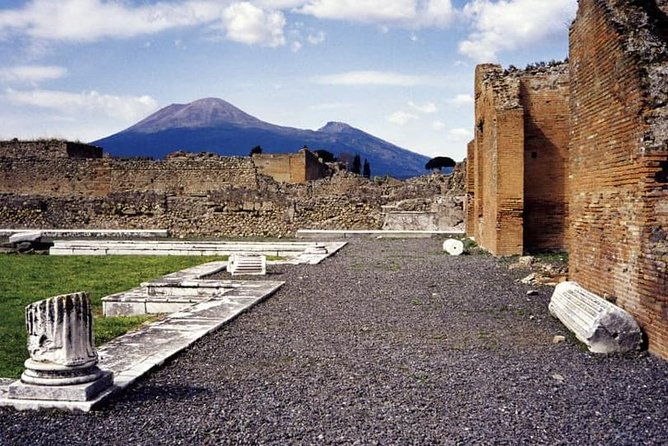 pompeii-and-vesuvius-experience-from-sorrento-skip-the-line