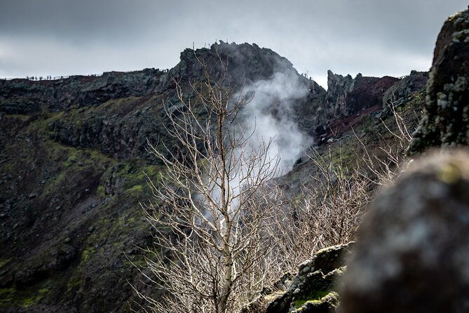 pompeii-and-vesuvius-small-group-tour-from-sorrento-with-pizza
