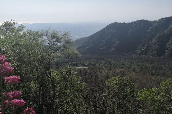 pompeii-and-vesuvius-tour-lunch-guide-and-transfer-included