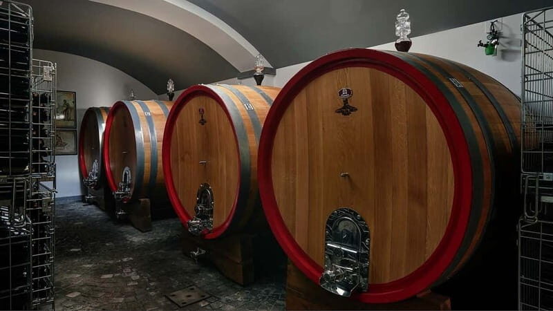 Pompeii and Vesuvius Winery Tour with Wine Tasting - Key Points
