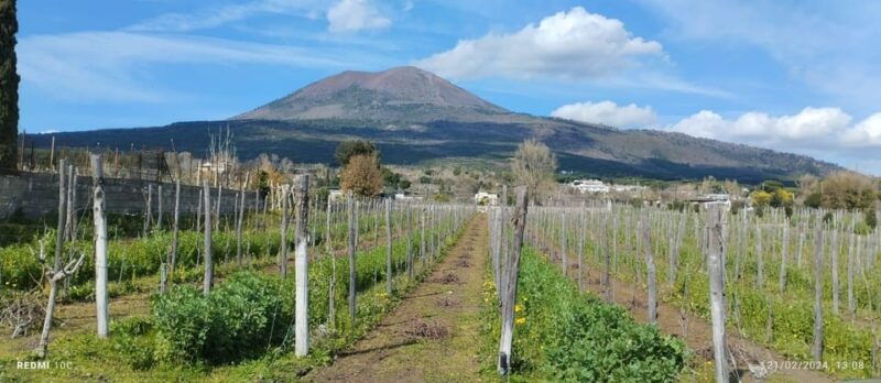 pompeii-and-wine-tasting-tour