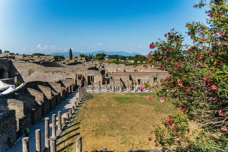 Pompeii: Archaeological Park Guided Tour - Who Will Love This Tour?