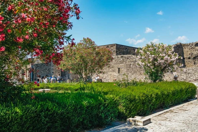 Pompeii: Archaeological Park Guided Tour - Final Thoughts
