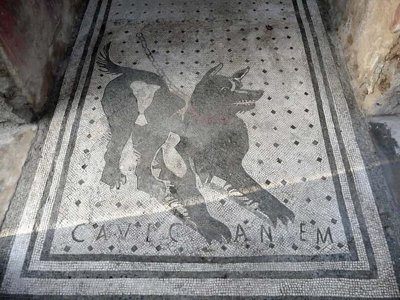 Pompeii: Day Trip with High-Speed Train & Guided tour - Key Points