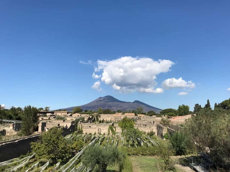 Pompeii: Exclusive Tour with Archaeologist and Entry Tickets - An Honest Look at the Pompeii Tour Experience