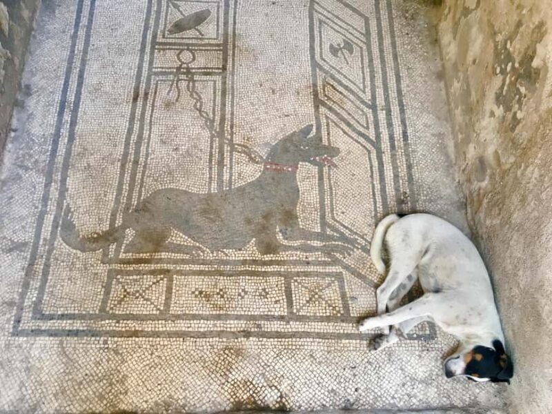 Pompeii: experience with a real archaeologist in a small group - Final Thoughts