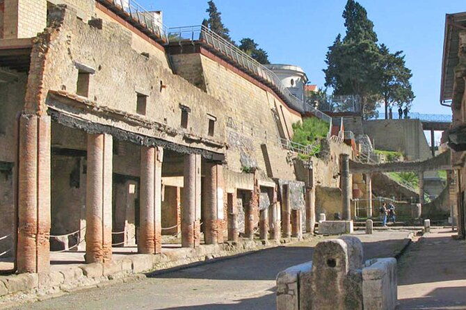 pompeii-herculaneum-private-tour-fast-track-winery-lunch